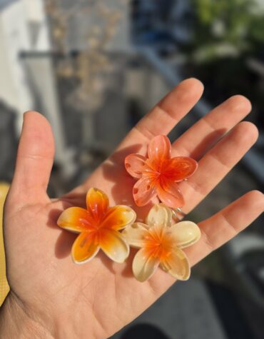 Сет од 3 штипки за коса